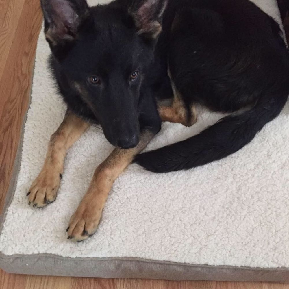 Meet your Posher, Jeneane